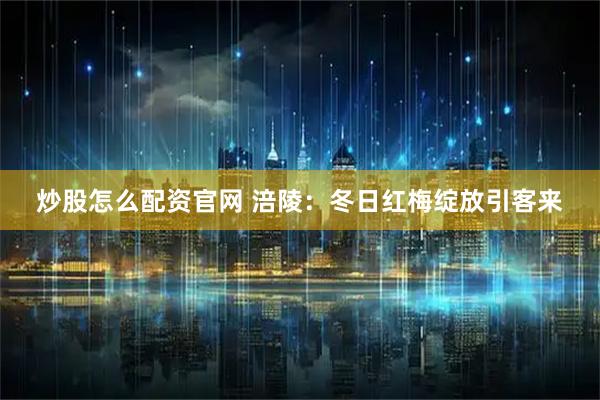 炒股怎么配资官网 涪陵：冬日红梅绽放引客来