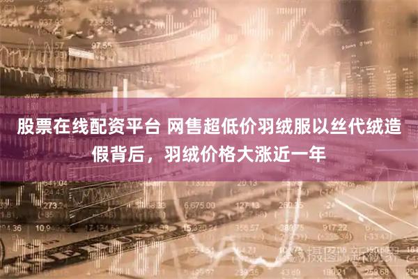 股票在线配资平台 网售超低价羽绒服以丝代绒造假背后，羽绒价格大涨近一年