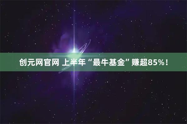 创元网官网 上半年“最牛基金”赚超85%！