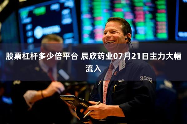 股票杠杆多少倍平台 辰欣药业07月21日主力大幅流入