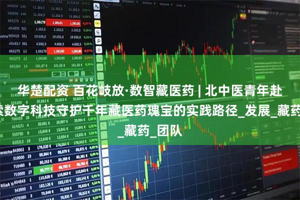 华楚配资 百花岐放·数智藏医药 | 北中医青年赴藏探索数字科技守护千年藏医药瑰宝的实践路径_发展_藏药_团队