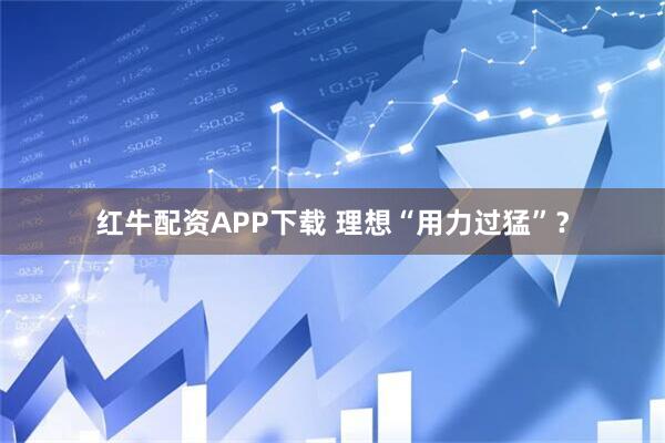红牛配资APP下载 理想“用力过猛”？