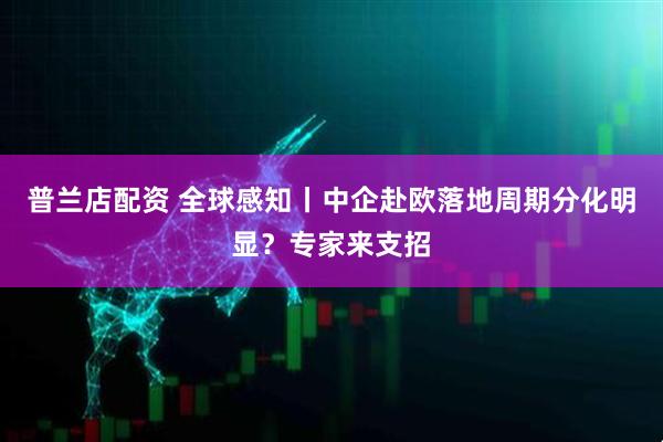 普兰店配资 全球感知丨中企赴欧落地周期分化明显？专家来支招